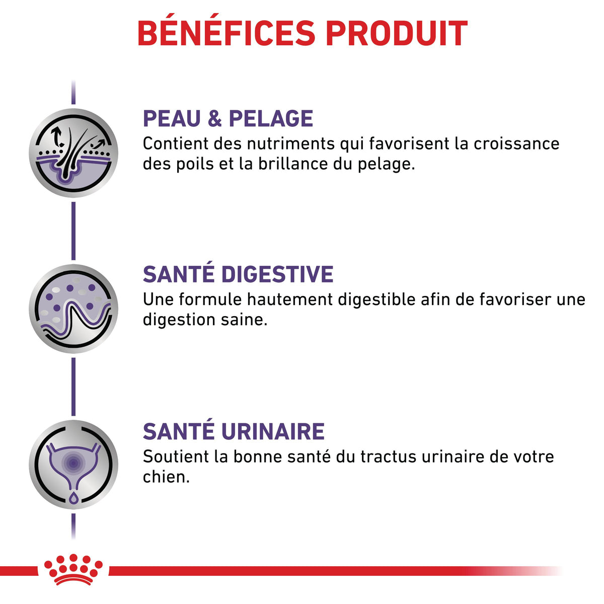 Royal Canin Expert Dog Adult - pâtée chien