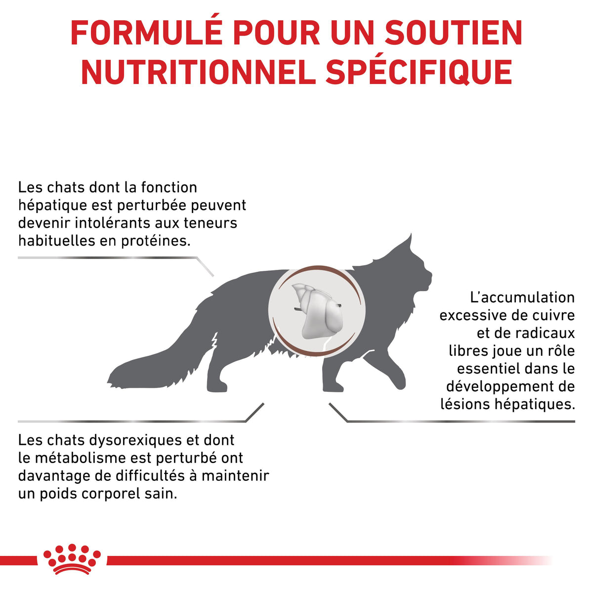 Royal Canin Veterinary Hepatic - Pour chat