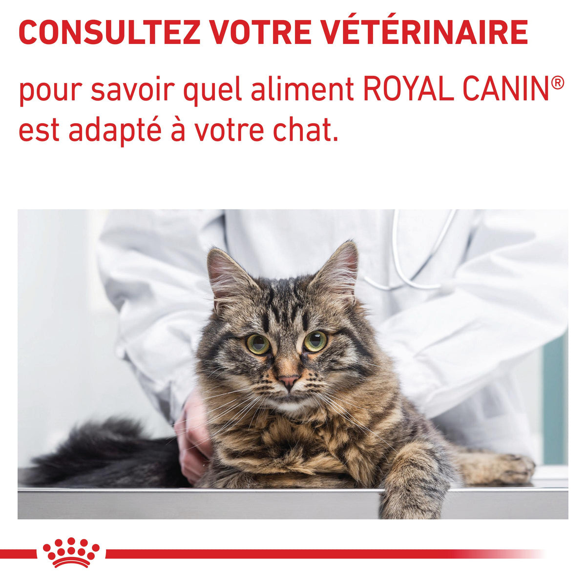 Royal Canin Veterinary Mature Consult - pâtée chat