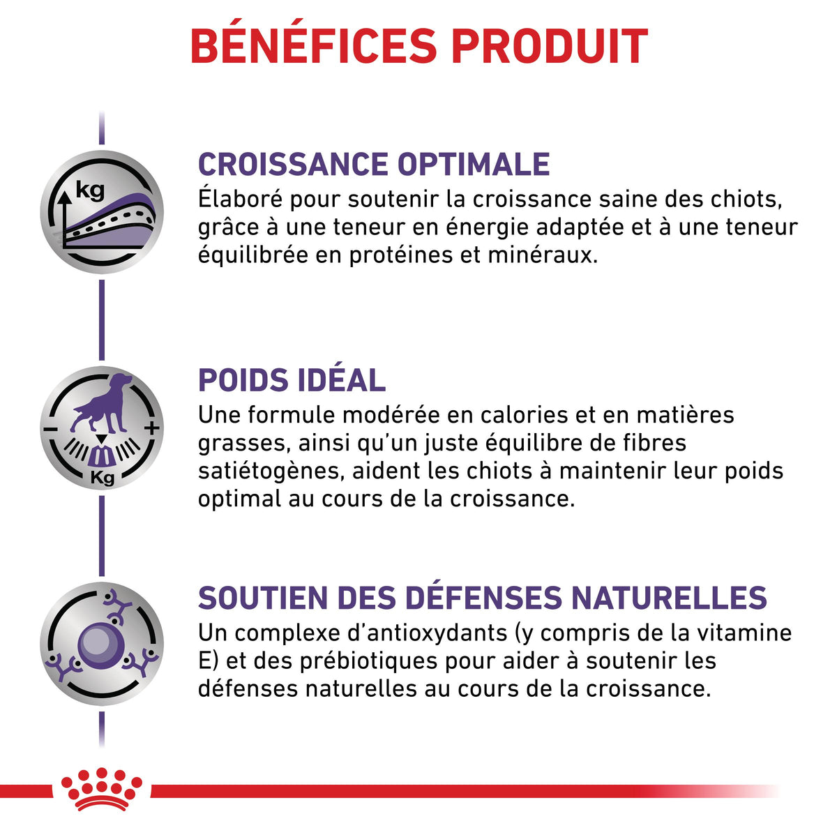 Royal Canin Veterinary Neutered Junior Dog - Croquettes pour chiot