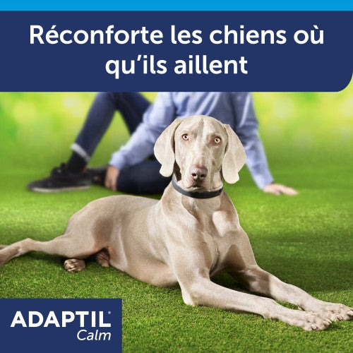 ADAPTIL® Calm collier