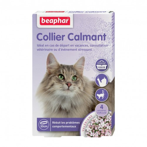 Collier calmant chat