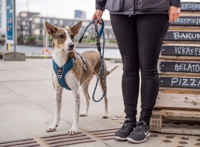 DOG COPENHAGEN - Laisse Urban Rope