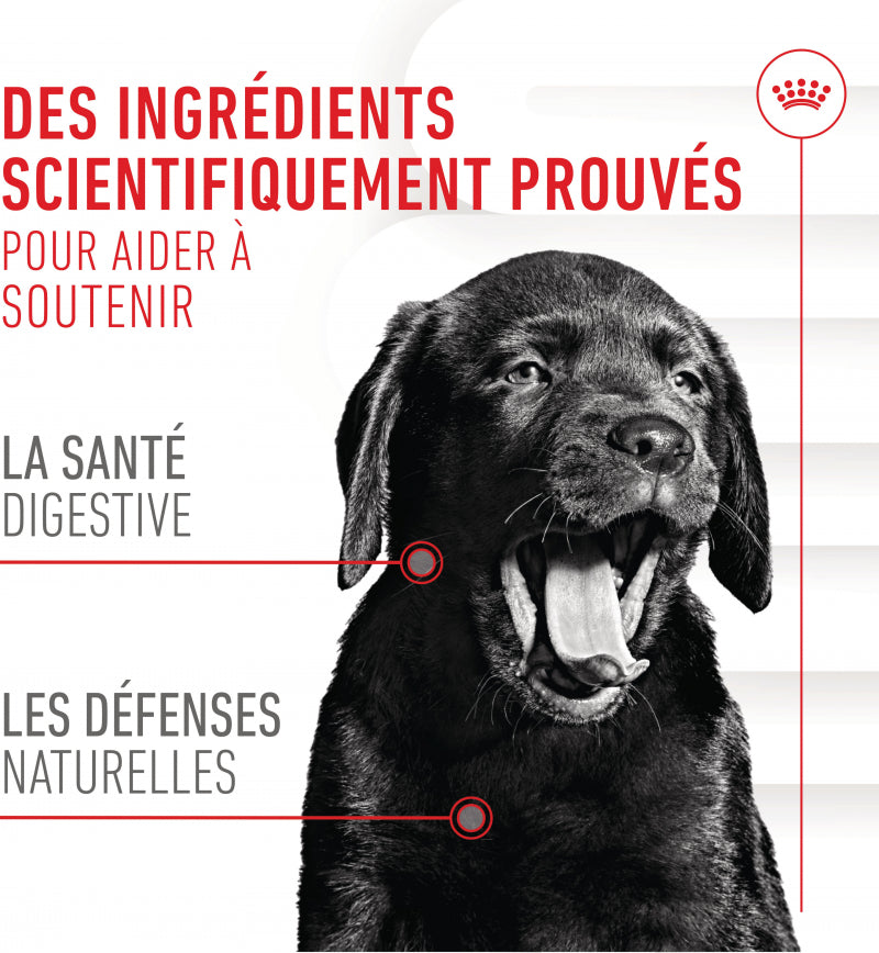 Aliment complémentaire Puppy Immunity & Digestion Chews chiot