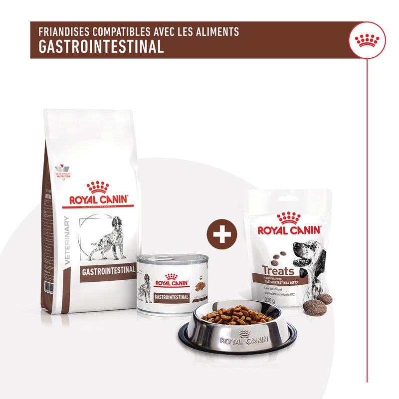 Royal Canin Gastrointestinal Treats chien