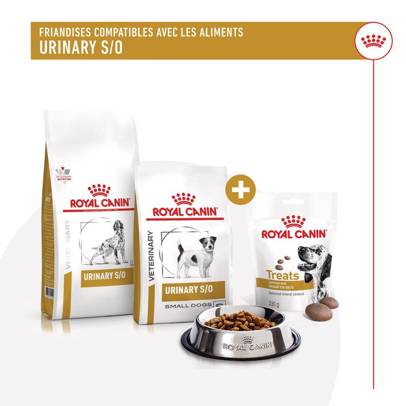 Royal Canin Urinary Treats chien