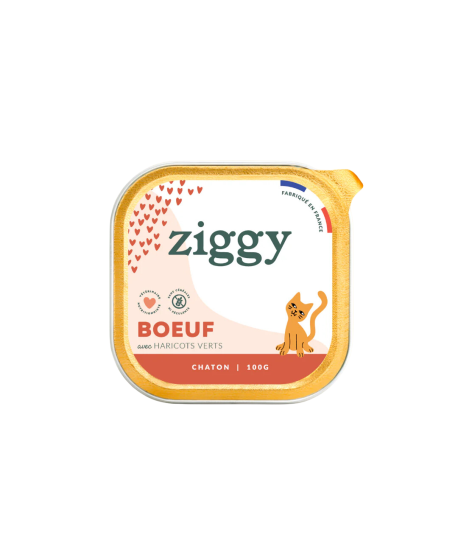 Ziggy Chaton Boeuf Pâtée