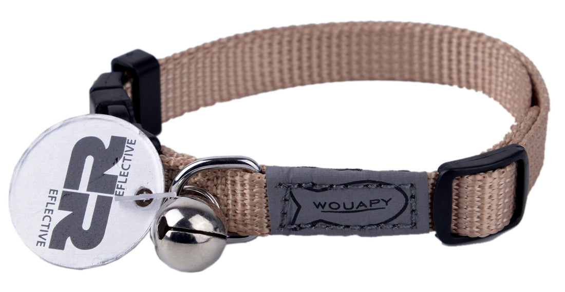 Collier pour chat basic