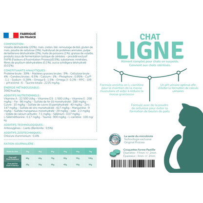 Preference Chat Ligne