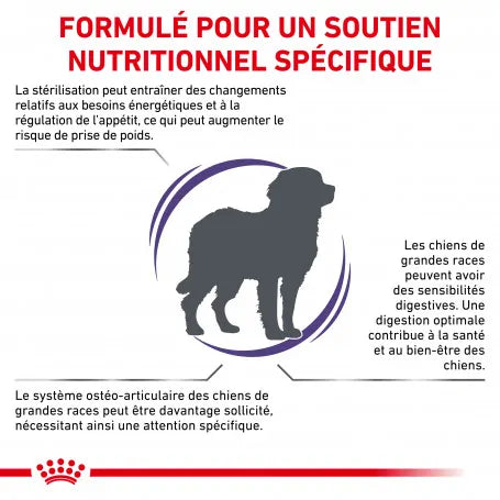 Royal Canin Ehn Chien Neutered Adulte Large