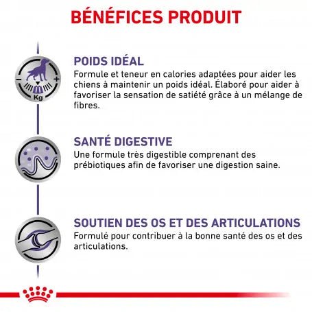 Royal Canin Ehn Chien Neutered Adulte Large