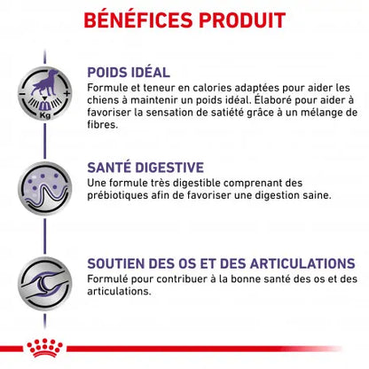 Royal Canin Ehn Chien Neutered Adulte Large