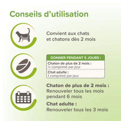 Vermipure comprimés Purge chat, chaton
