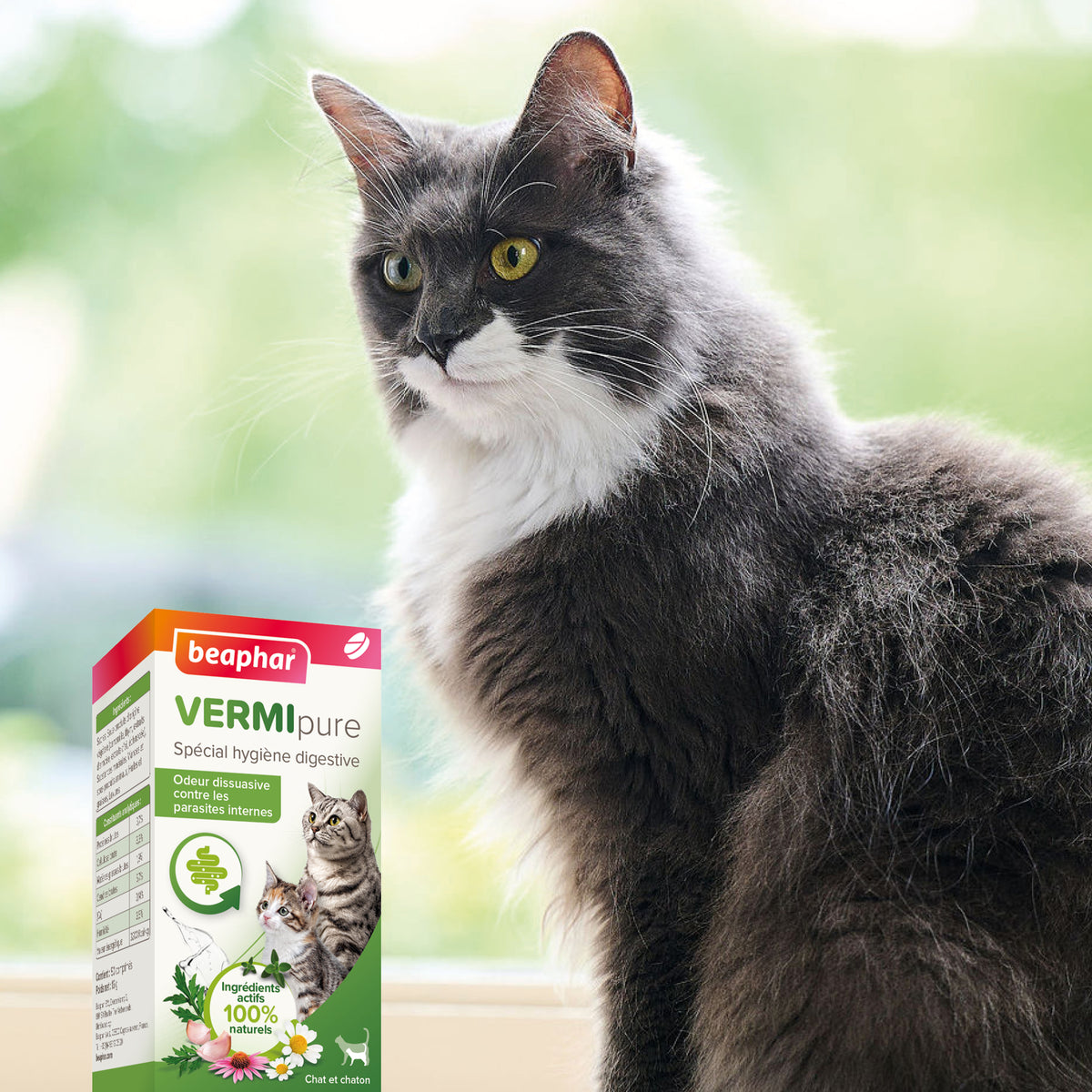 Vermipure comprimés Purge chat, chaton