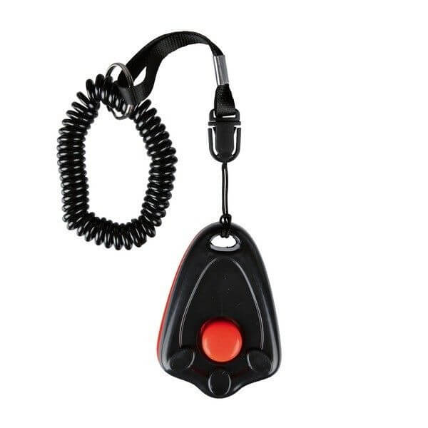 CLICKER EDUCATION