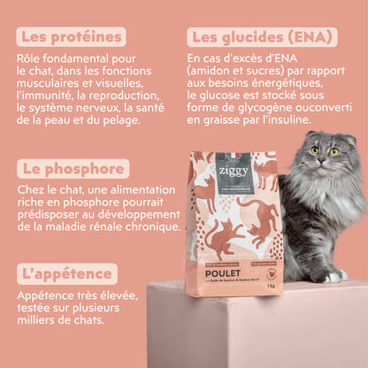 Ziggy Adulte Stérilisé au poulet - croquettes chat