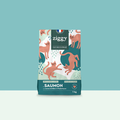 Ziggy adulte stérilisé au saumon - croquettes chat