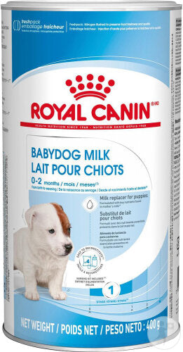 Babydog Lait Chiot