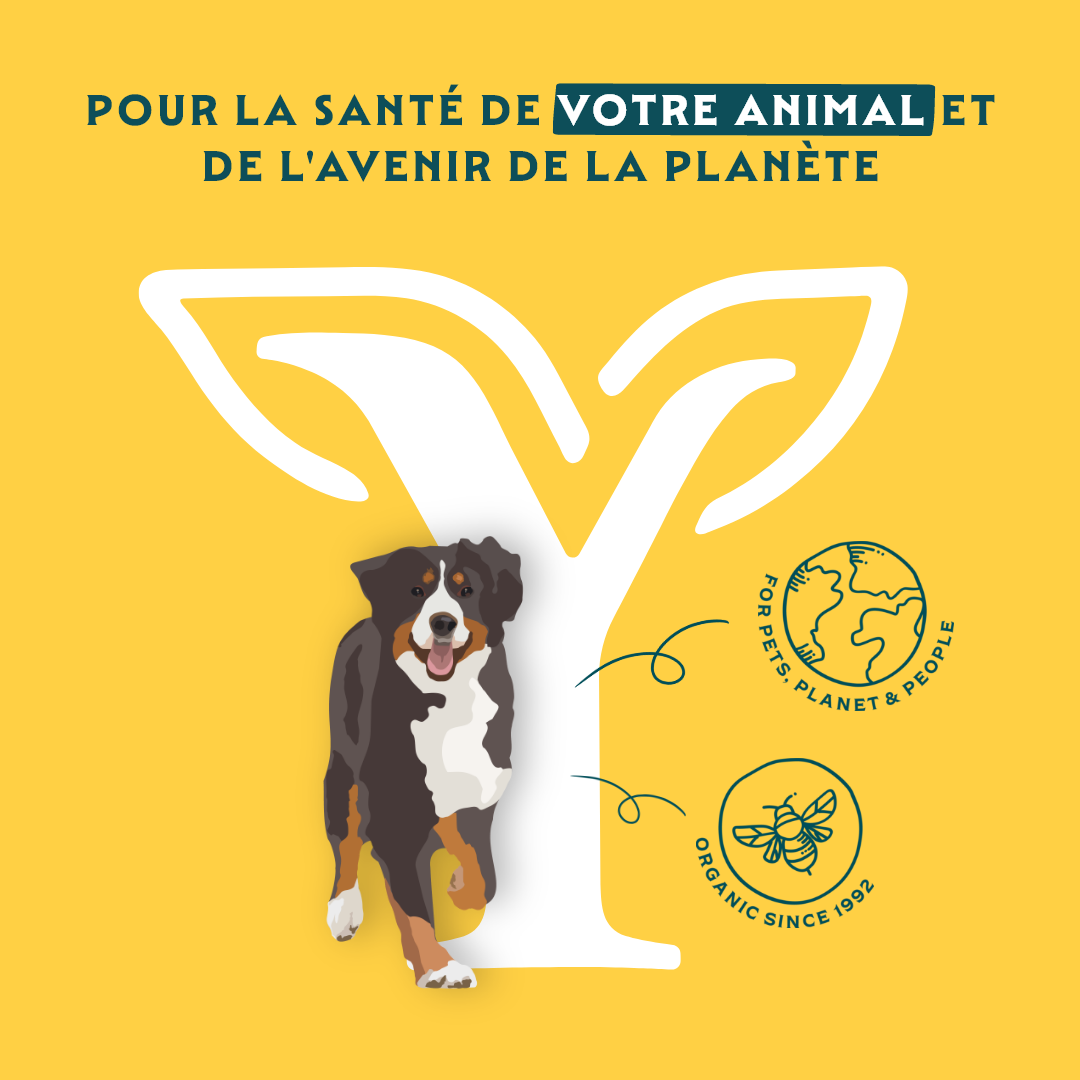 Yarrah croquettes bio chien