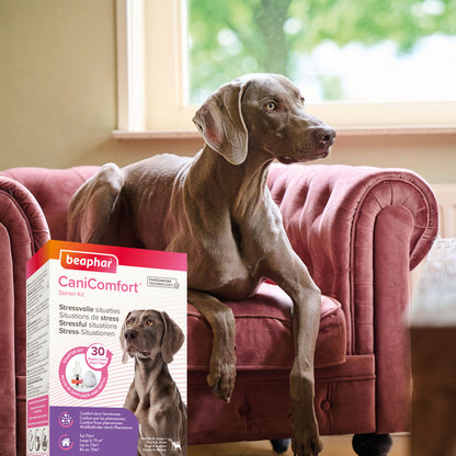 Diffuseur CaniComfort® chiot, chien