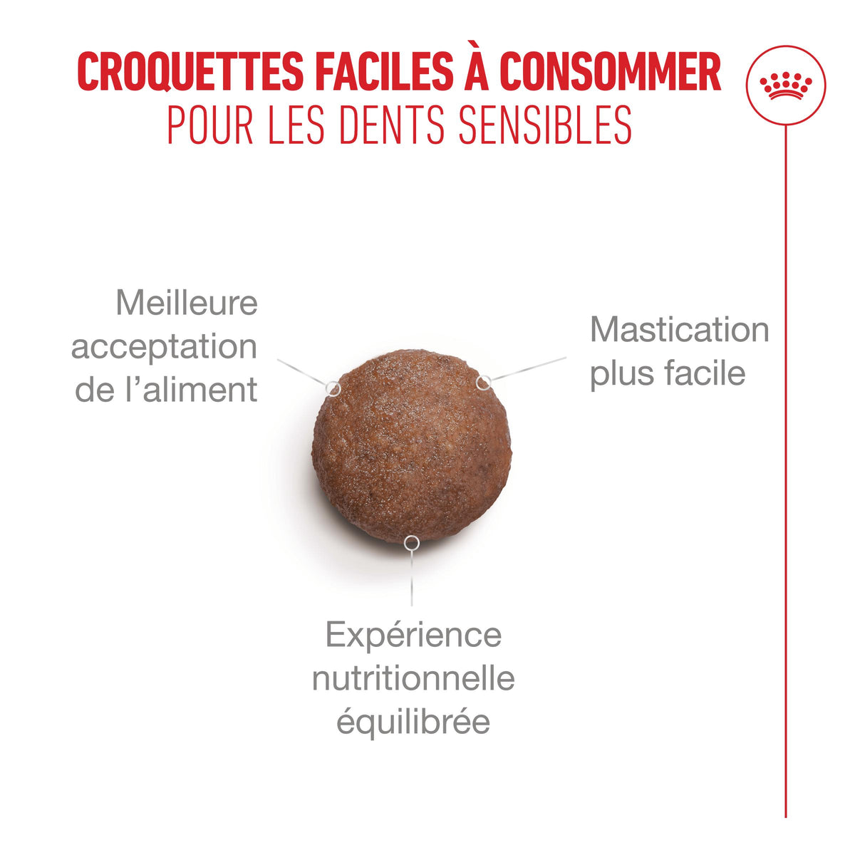 Royal Canin Ageing 15 + - croquettes chat