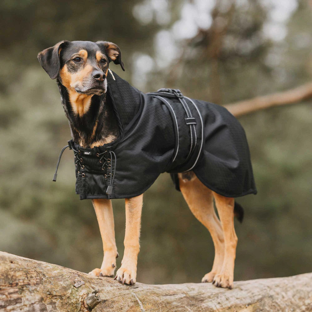 BOT MANTEAU  POUR CHIEN