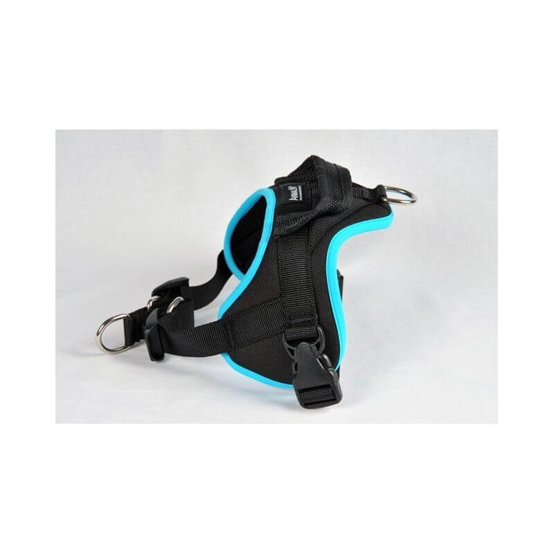 HARNAIS MULTI XXS TURQUOISE