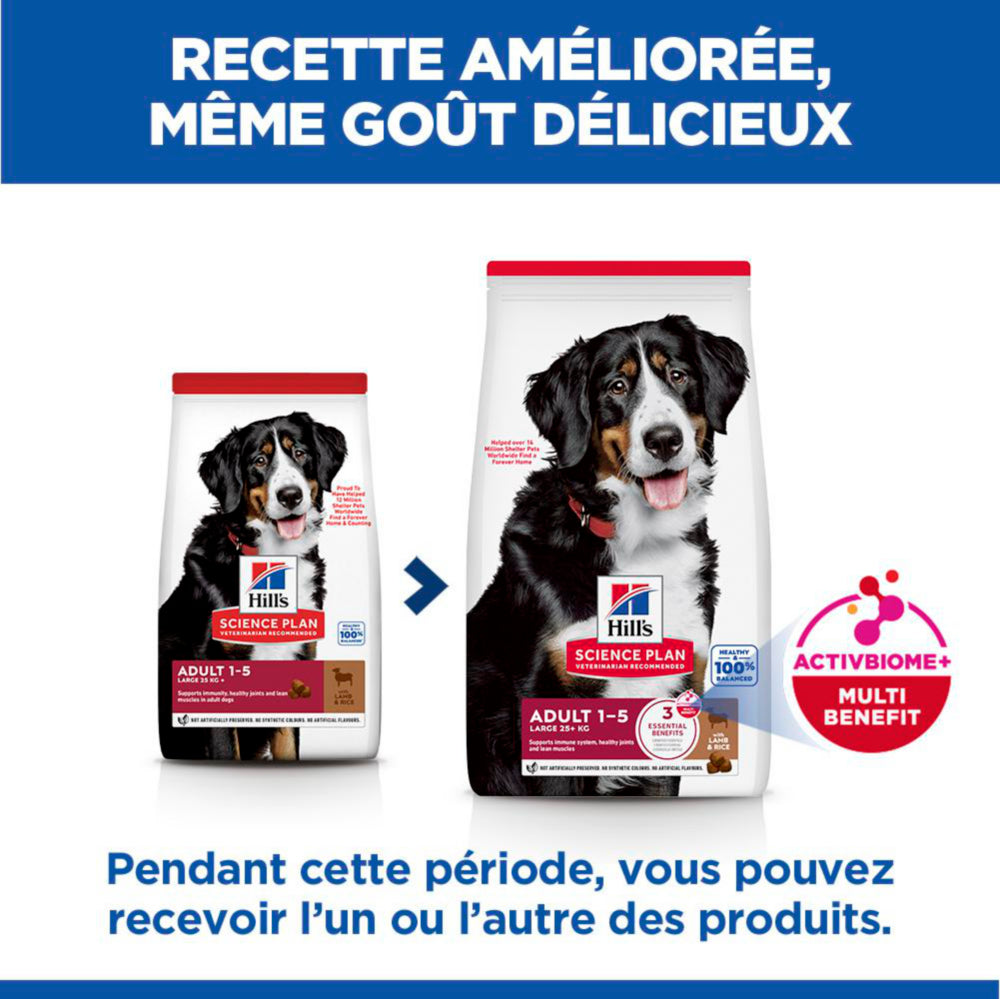 Sp Chien Adulte 1-5 Large Lambrice