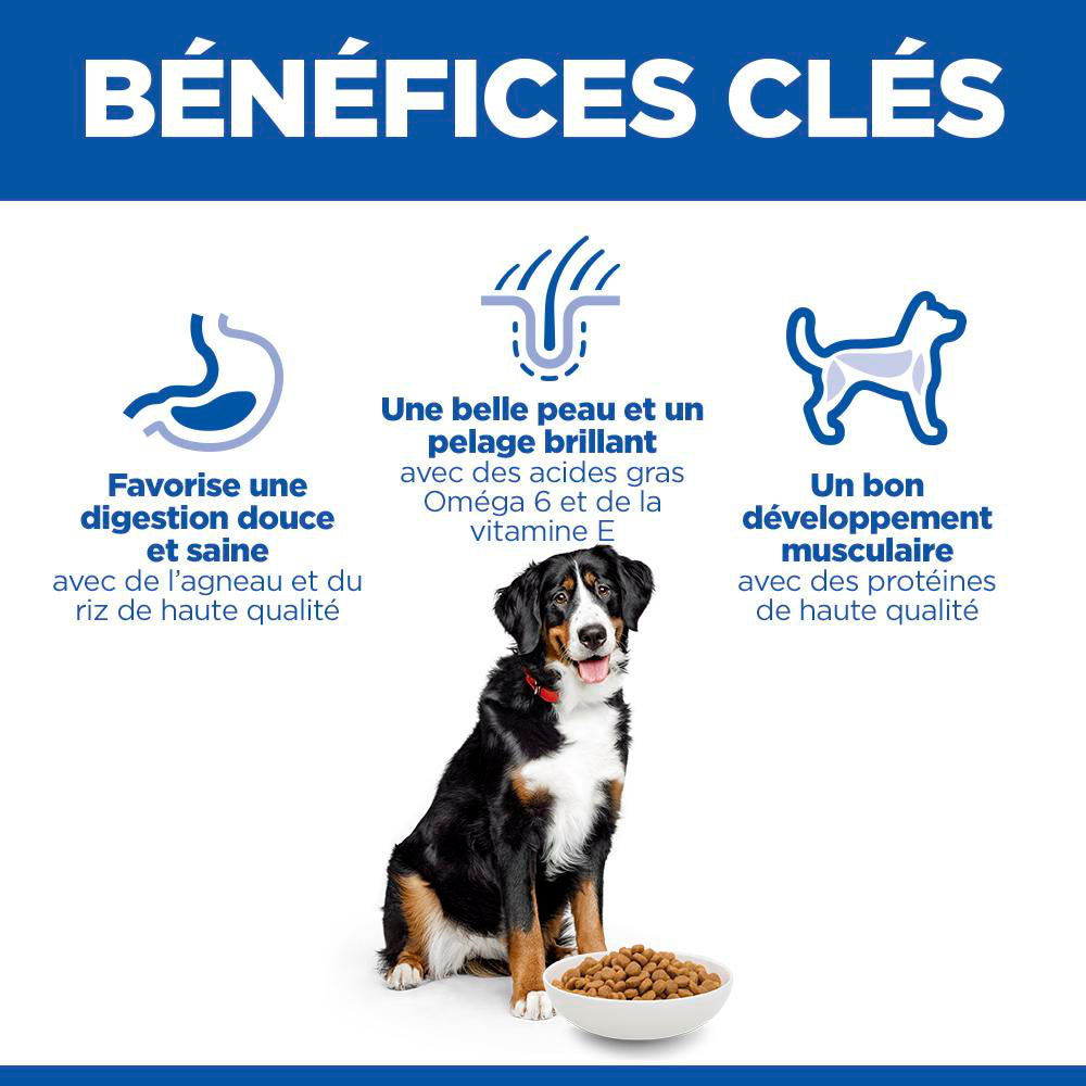 Sp Chien Adulte 1-5 Large Lambrice