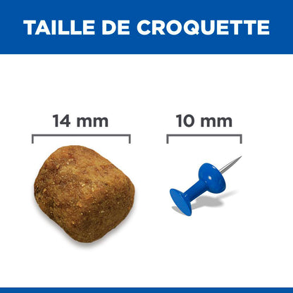 Sp Chien Adulte 1-5 Large Lambrice