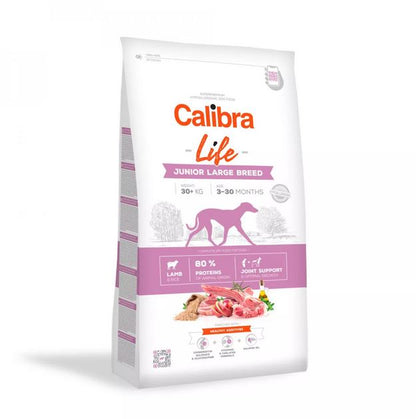Calibra Life Chien Junior - Large