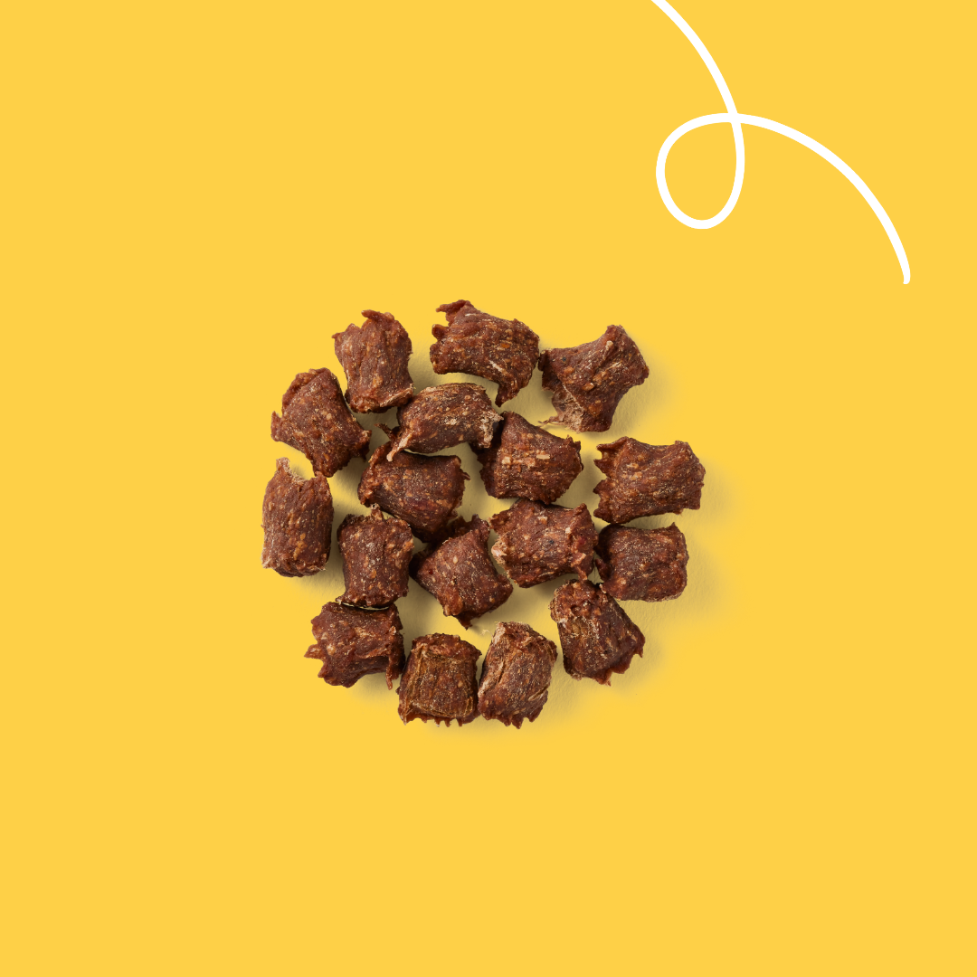 Yarrah mini snacks bio pour chien