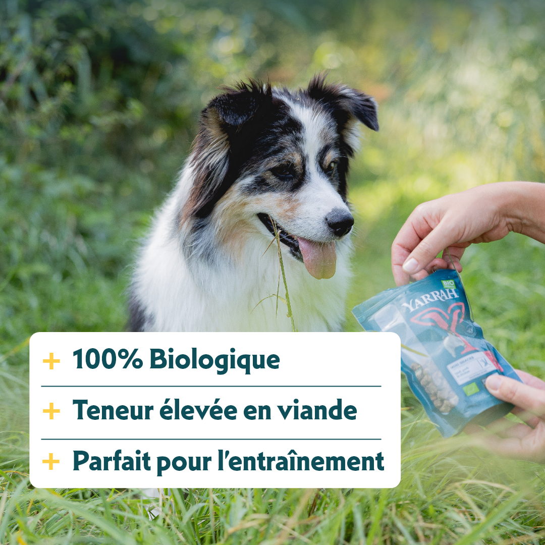 Yarrah mini snacks bio pour chien