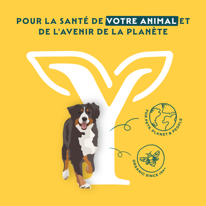 Yarrah sticks à mâcher bio chien