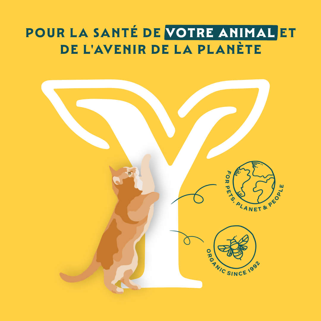 Yarrah sticks à mâcher Bio chat
