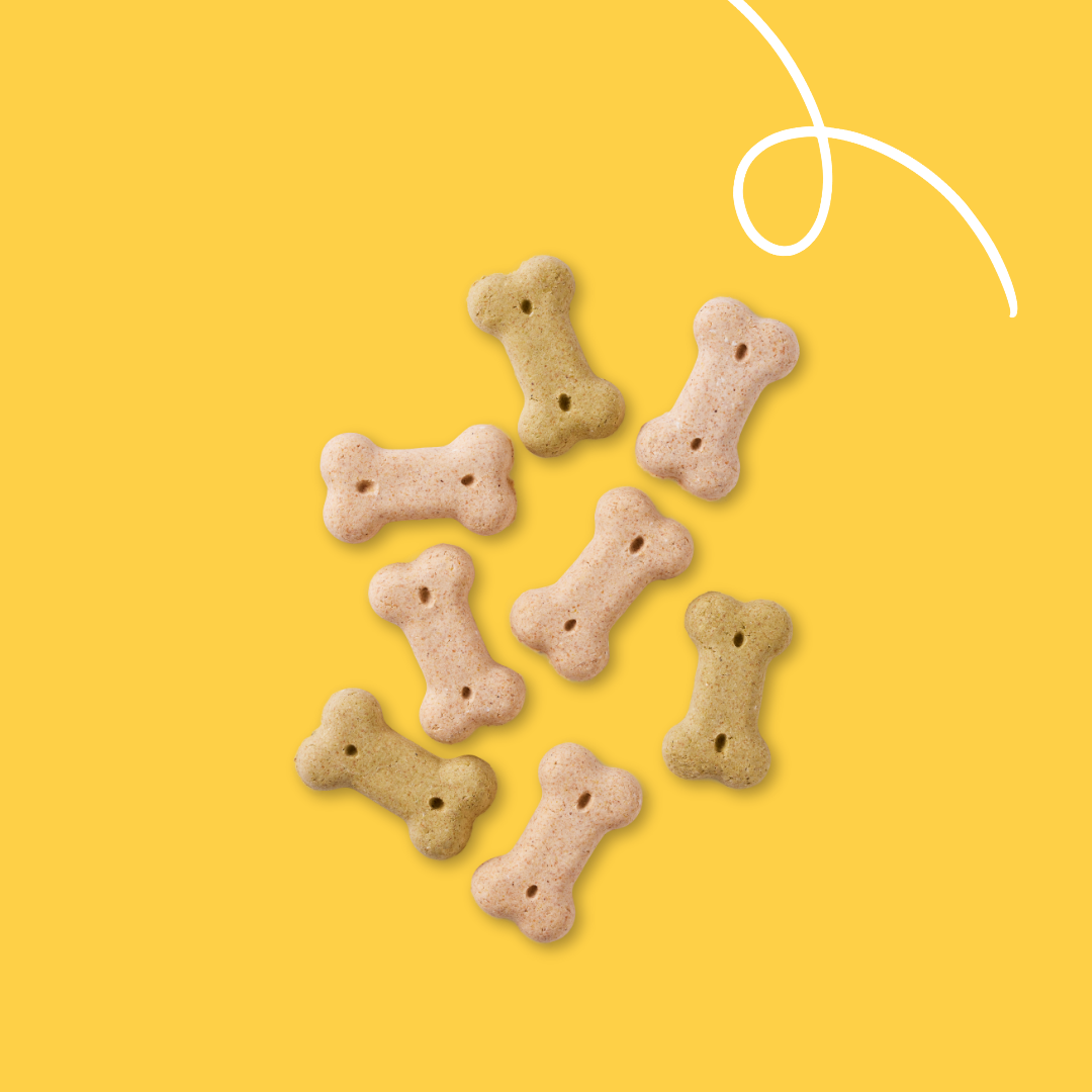 Yarrah biscuits bio végétarien pour petit chien