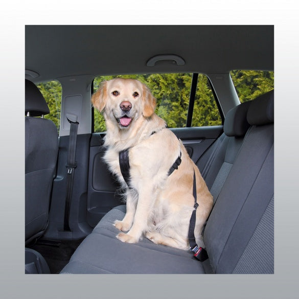 Harnais de securité auto pour chien