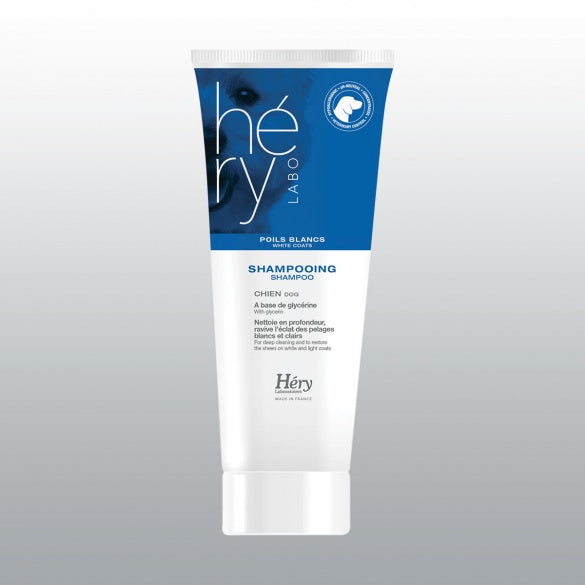 Shampoing chien héry poils blanc