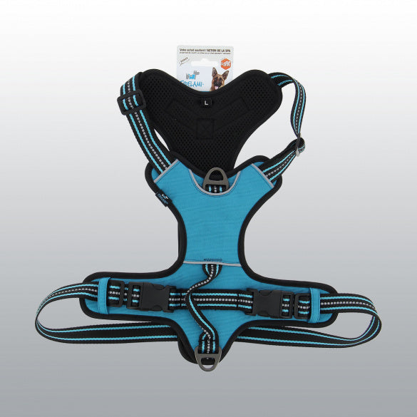 Harnais Dynamic coloré pour chien