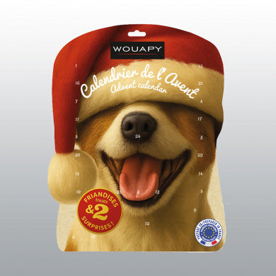 Calendrier de l&