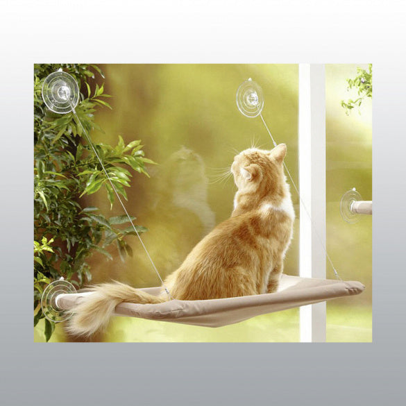 Hamac de fenêtre avec ventouses pour chat