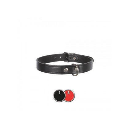 Collier pour chien Basic