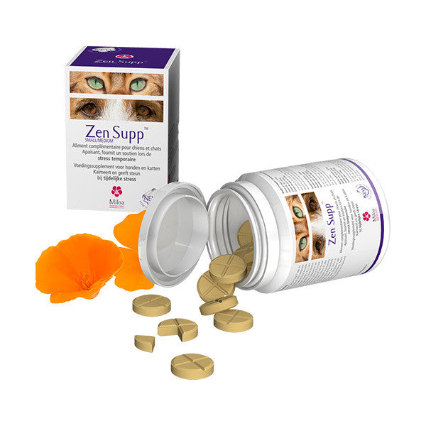 Zen Supp Small &amp; Medium