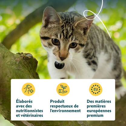 Yarrah bio sans céréales - pâtée chat