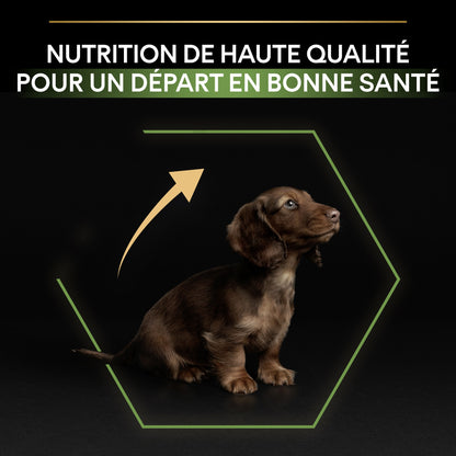 PRO PLAN Healthy Start Small &amp; Mini Puppy au Poulet - Croquettes pour chien