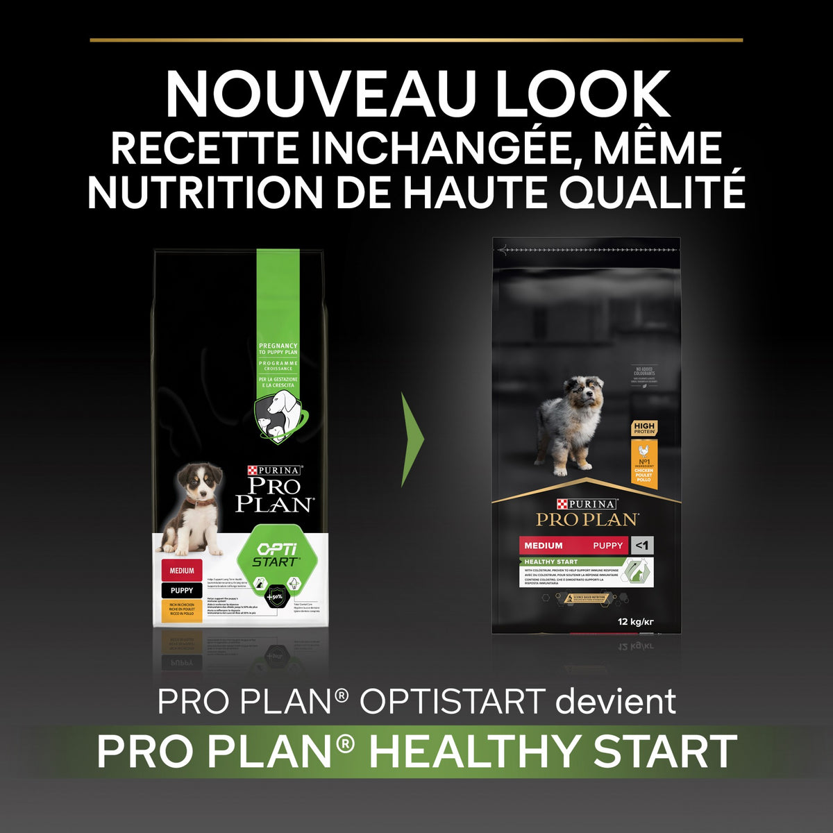 PRO PLAN Healthy Start Medium Puppy au Poulet - Croquettes pour chien