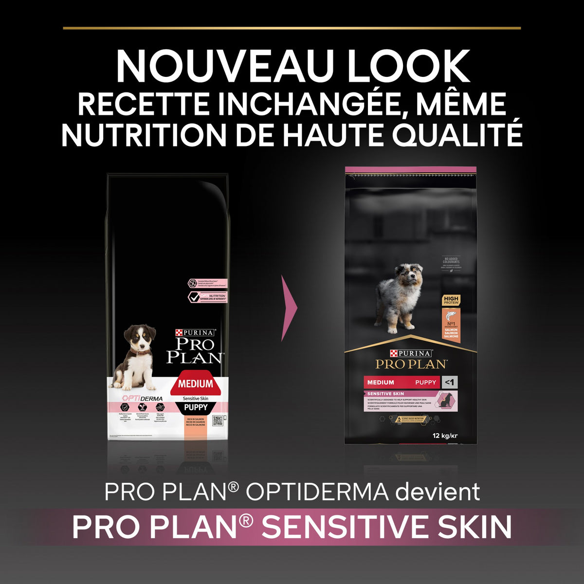 PRO PLAN Sensitive Skin Medium Puppy au Saumon - Croquettes pour chien
