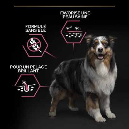 Pro Plan Sensitive Skin Medium Adult au saumon - croquettes chien