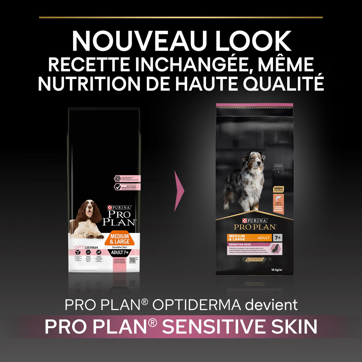 Pro Plan Sensitive Skin Medium &amp; Large Adult au saumon - croquettes chien