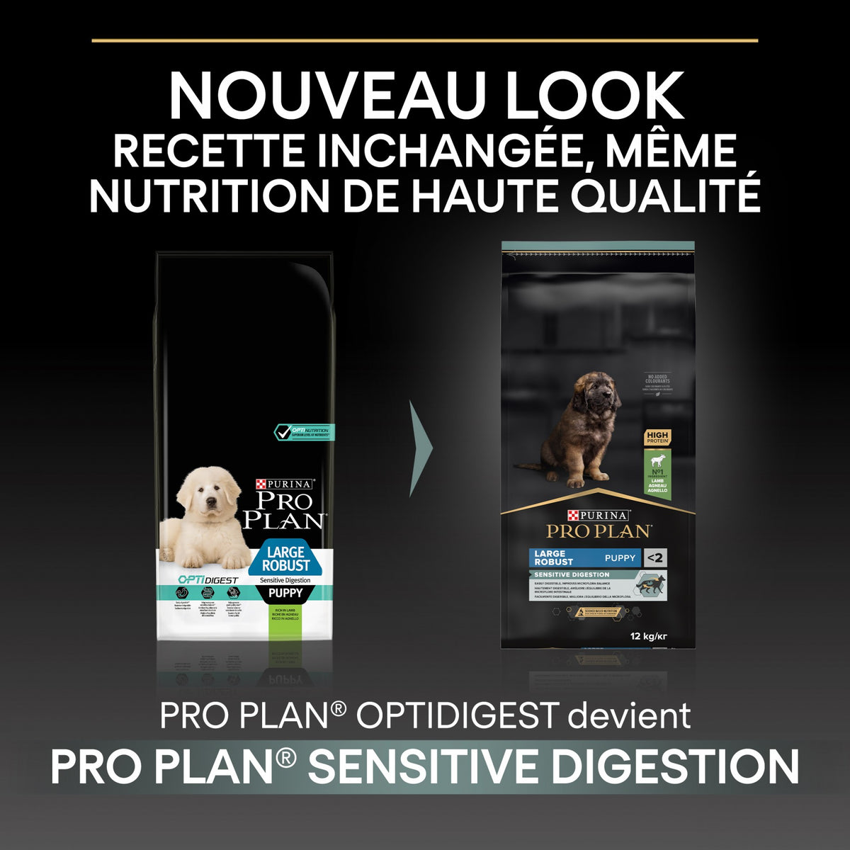 PRO PLAN Sensitive Digestion Large Robust Puppy à la Agneau- Croquettes pour chien